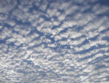 Mackerel Sky