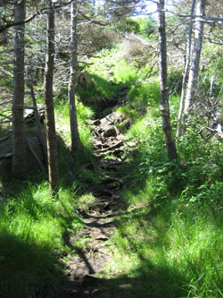 Monhegan Hiking Trail