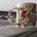 Almost enough to make you give up coffee
