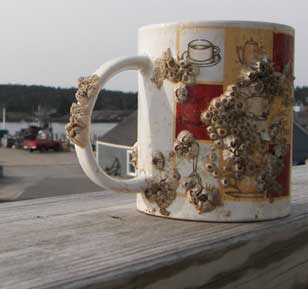 Almost enough to make you give up coffee